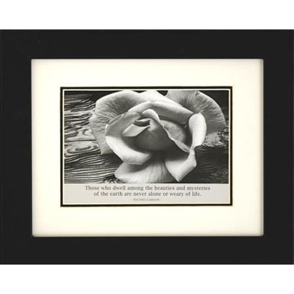 Ansel Adams White Rose  Professionally Framed Black & White Photo 8x10 - Picture 1 of 3